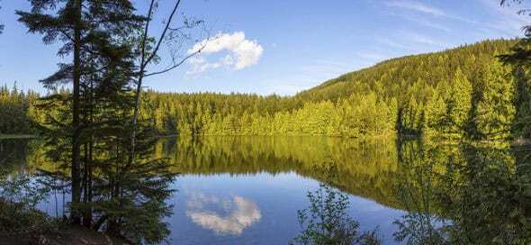 Distrito-escolar-de-Abbotsford-canada-naturaleza-590x272