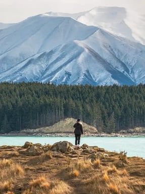NZ 3-min