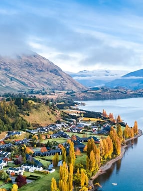NZ 6-min