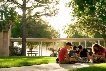 Un grupo de estudiantes de la Albuquerque Academy está sentado en la pradera en un área exterior rodeada de árboles.