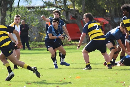 Un grupo de estudiantes del Aotea College juega al rugby en un campo de hierba rodeado de árboles.