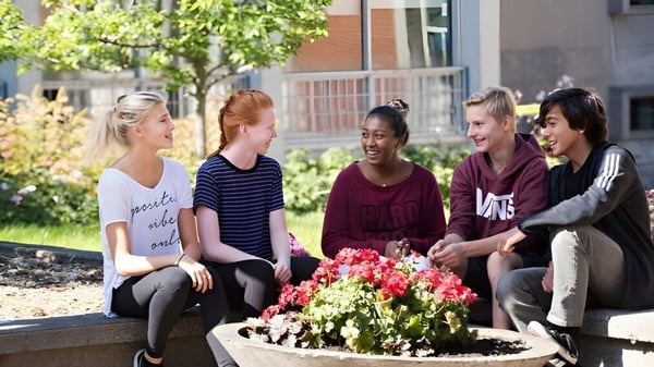 Un grupo de estudiantes de la Beaconsfield High School está sentado en un banco de jardín rodeado de flores coloridas y plantas verdes.