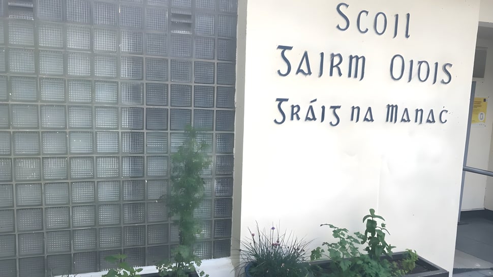 Un cartel con texto en lengua extranjera frente a una pared de bloques de vidrio en el terreno del Duiske College.