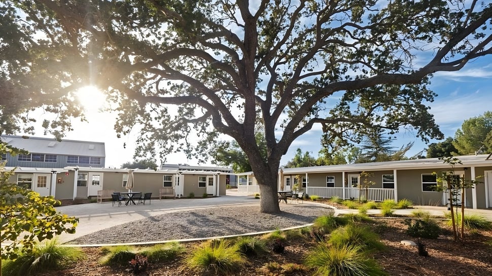Un gran árbol sombreado se encuentra en el área exterior de la Dunn School con un camino pavimentado y varios edificios al fondo.