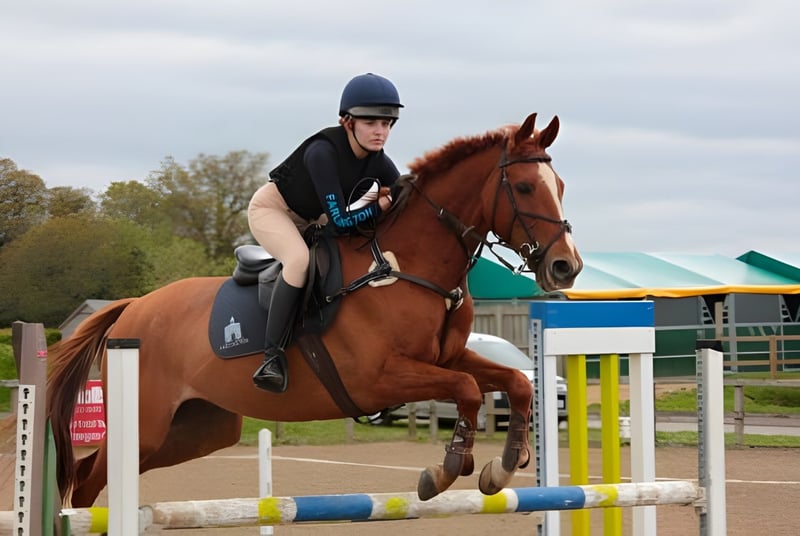 Una estudiante de la Farlington School monta un caballo marrón y salta sobre un obstáculo colorido en el exterior.