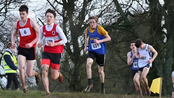 Estudiantes de la Glenstal Abbey School corren en una carrera a campo traviesa a través de un área boscosa con árboles desnudos.