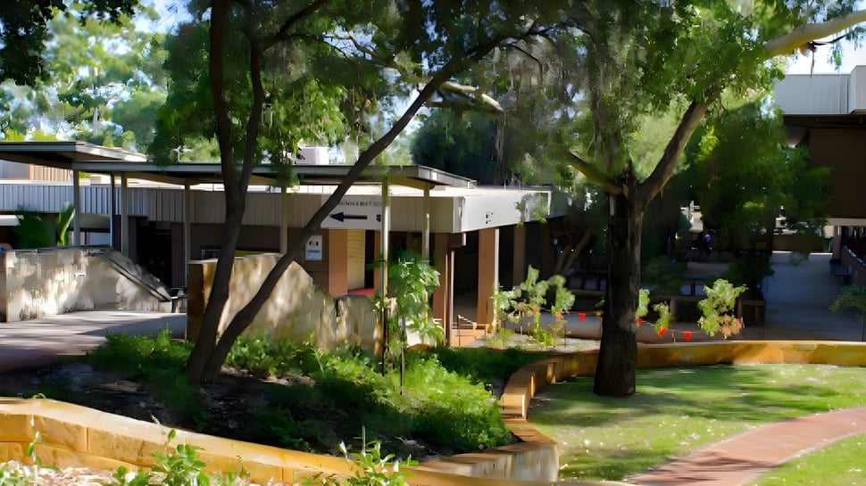 El área exterior verde con un camino y rodeada de árboles en el campus del Greenwood College.