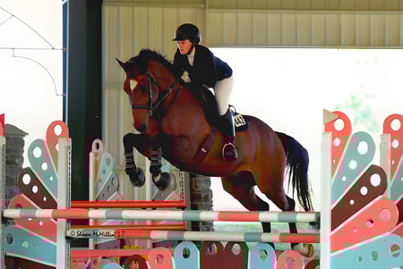 Una jinete de la Grier School salta con un caballo marrón sobre un colorido recorrido de obstáculos en una pista de equitación.