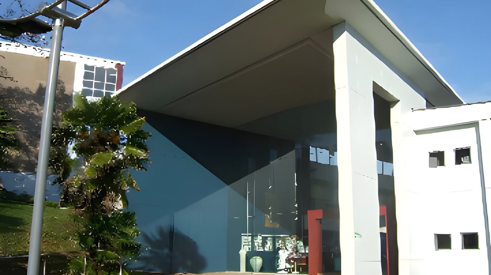 El moderno edificio de la Hamilton Girl's High School está rodeado de vegetación verde bajo un cielo azul claro.