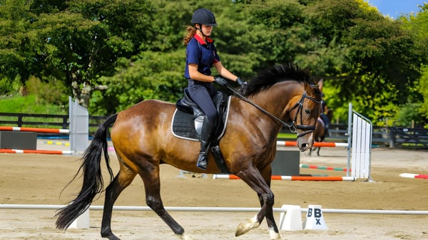 Una alumna de la Highworth Grammar School está montada en un caballo castaño frente a un fondo de árboles verdes.