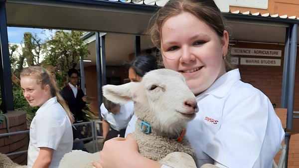 Una estudiante de la Menai High School sostiene un cordero blanco frente a un edificio de la clínica veterinaria.