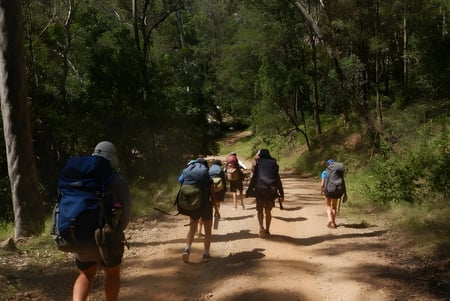 Estudiantes de la Merrimac State High School caminan por un sendero en un denso y verde bosque.