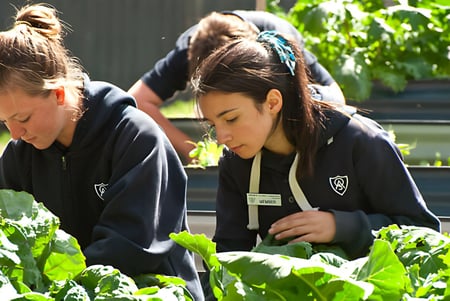 Dos alumnas de la Oakbank Area School cuidan atentamente el jardín escolar y examinan las plantas.