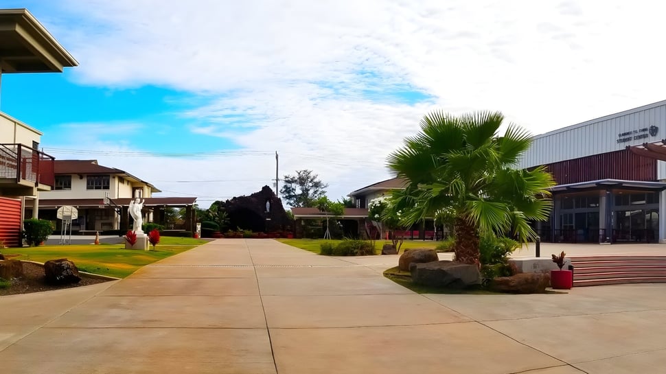 Un paseo pavimentado con palmeras atraviesa el área exterior de la Sacred Hearts Academy bajo un cielo azul claro.