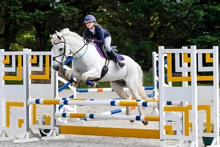 Una estudiante de la Seaford Head School monta un caballo blanco sobre coloridos obstáculos de salto en el bosque.