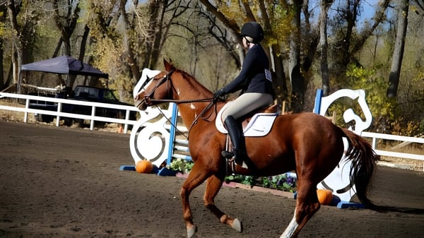 Una estudiante de la Steamboat Mountain School monta un caballo marrón en el exterior con árboles y una cerca.