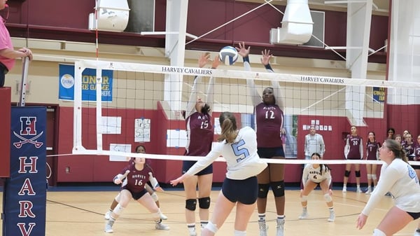 Estudiantes de The Harvey School juegan un partido de voleibol en el gimnasio.