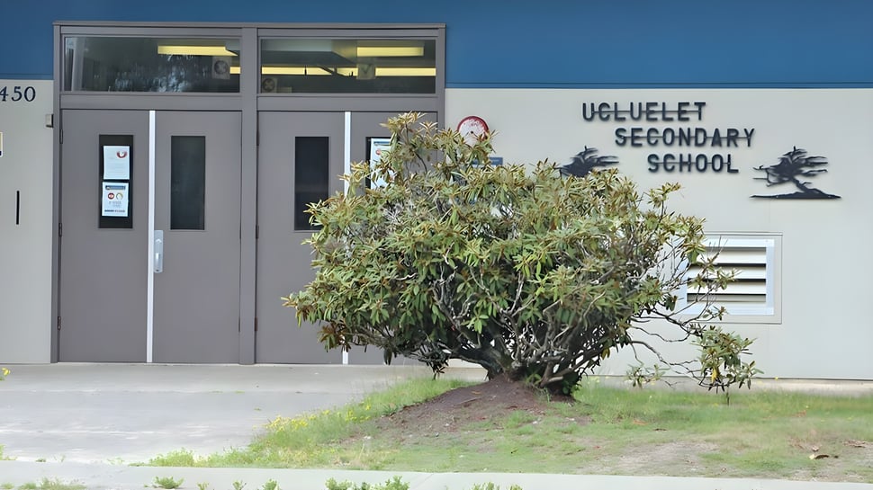 Un gran árbol se encuentra frente al edificio de la Ucluelet Secondary School.