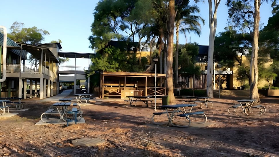 El área exterior de la Warners Bay High School con asientos y árboles al atardecer.