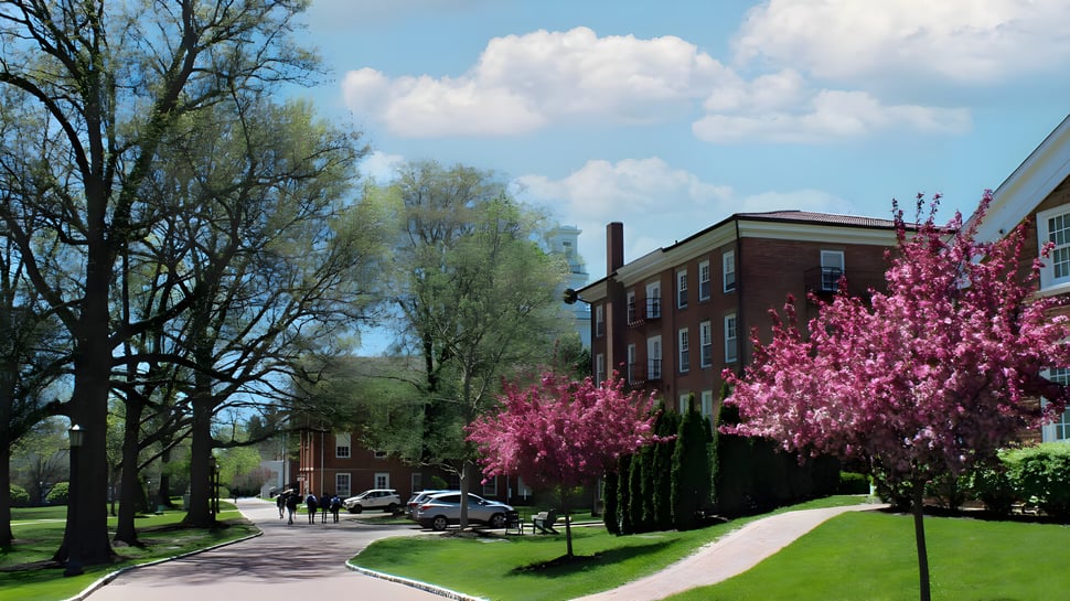 Una alameda flanqueada por árboles rosas en flor en el campus de la Western Reserve Academy con edificios de ladrillo y césped verde.