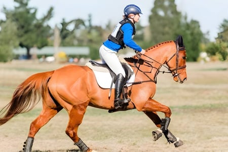 Una estudiante de Westland High School monta un caballo marrón sobre un campo cubierto de hierba con árboles.