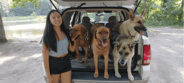 jara-perros-indiana-599x272