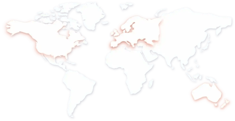 svgviewer-png-output (2)